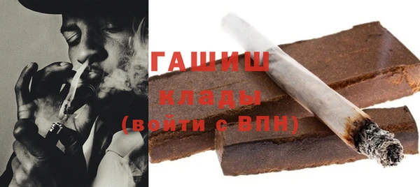 прущие грибы Алзамай