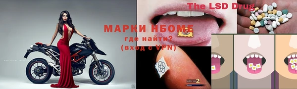 прущие грибы Алзамай