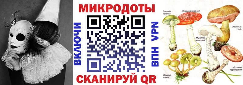 Псилоцибиновые грибы мицелий  ссылка на мегу зеркало  Мыски 